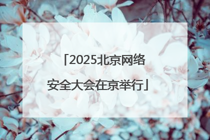 2025北京网络安全大会在京举行